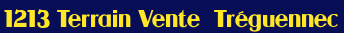 Terrain - Vente -  Tr�guennec