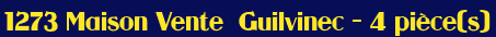 Maison - Vente -  Guilvinec